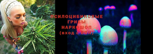 дурь Алексеевка