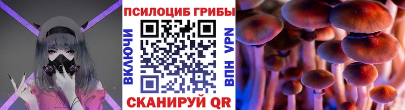 Псилоцибиновые грибы прущие грибы  Советский 
